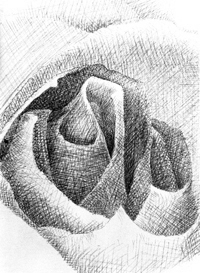 rosehatch